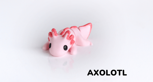 Baby Axolotl