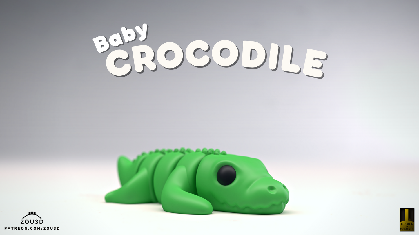 Baby Crocodile